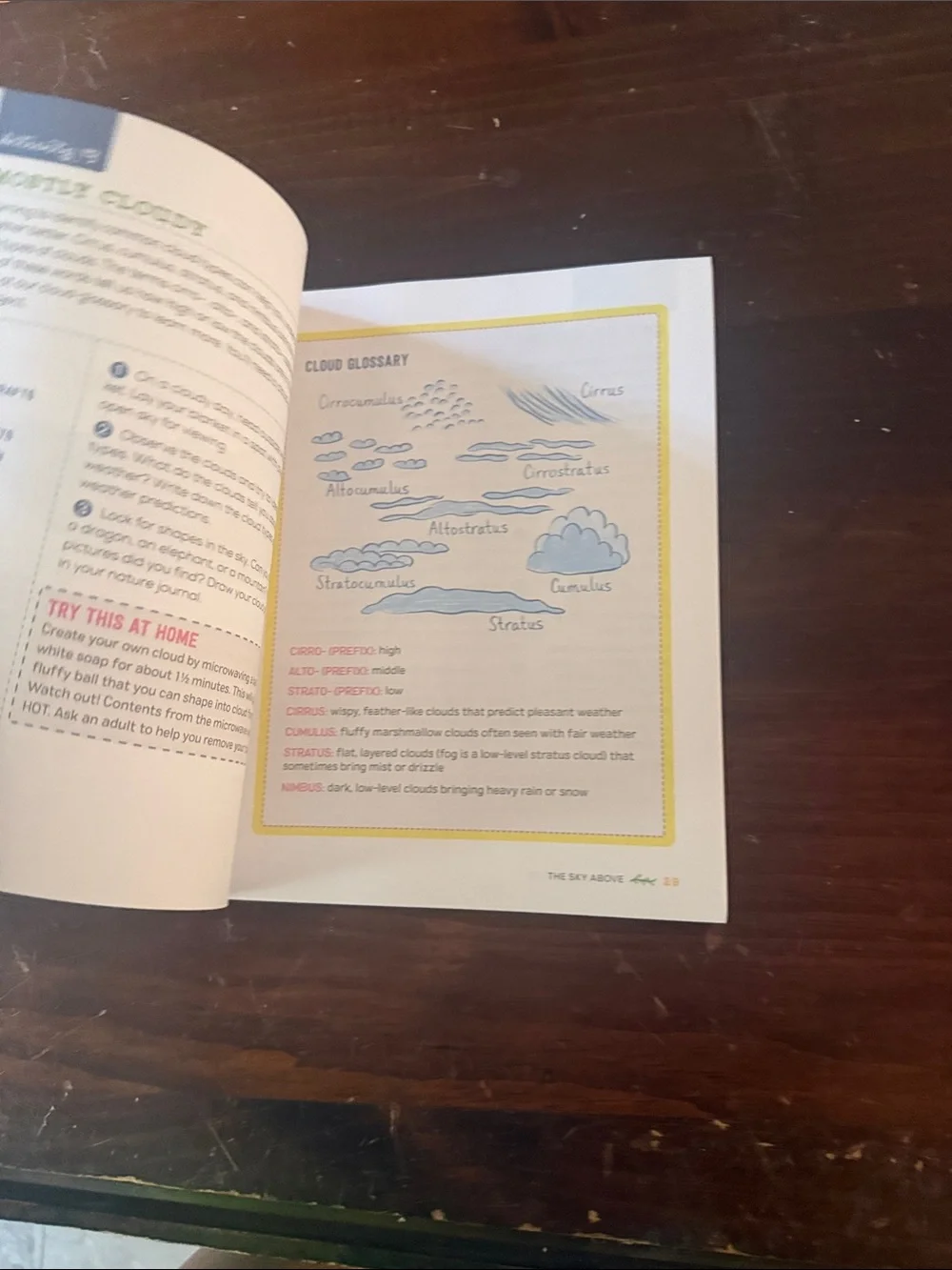 Exploring Nature Activity Book for Kids - White/Cream